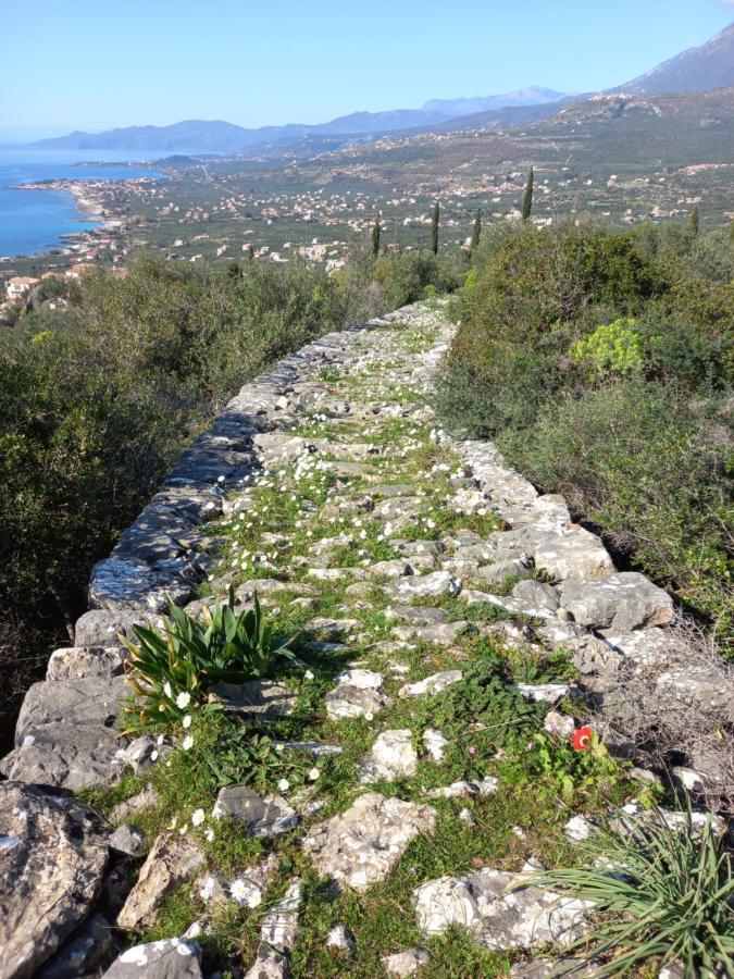 Villa Pefnos Agios Nikolaos  Exteriér fotografie