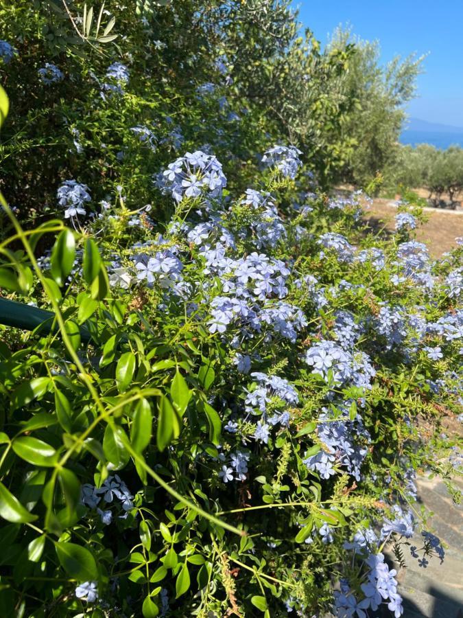 Villa Pefnos Agios Nikolaos  Exteriér fotografie